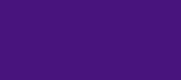 Color #48147D Indigo (background png icon) HTML CSS