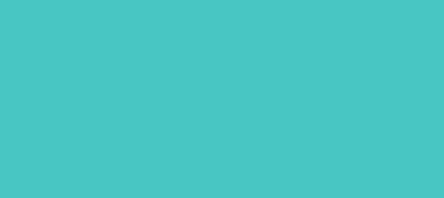 Color #48C7C1 Medium Turquoise (background png icon) HTML CSS