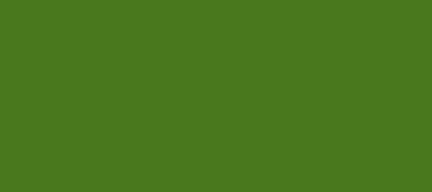 Color #49781D Green Leaf (background png icon) HTML CSS