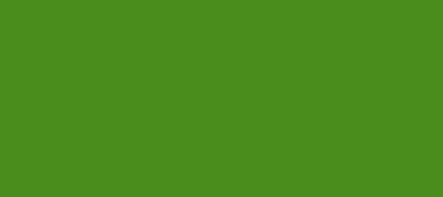 Color #4A8D1C La Palma (background png icon) HTML CSS