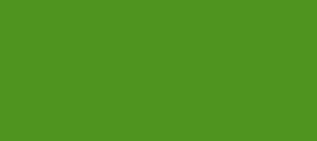 Color #4C941D La Palma (background png icon) HTML CSS