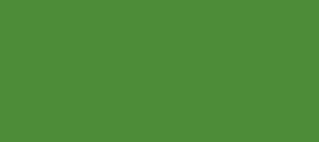 Color #4D8C38 La Palma (background png icon) HTML CSS