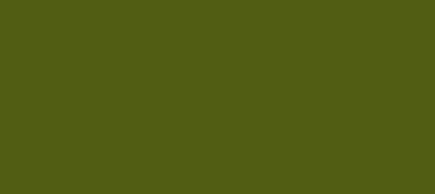 Color #505D12 Verdun Green (background png icon) HTML CSS