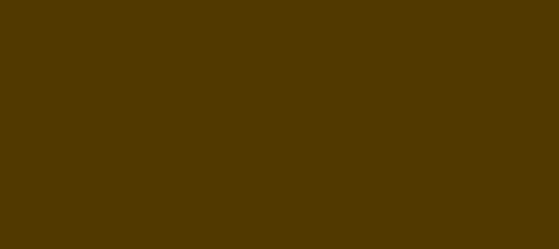 Color #513900 Baker's Chocolate (background png icon) HTML CSS
