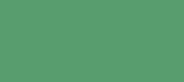 Color #569E6E Ocean Green (background png icon) HTML CSS