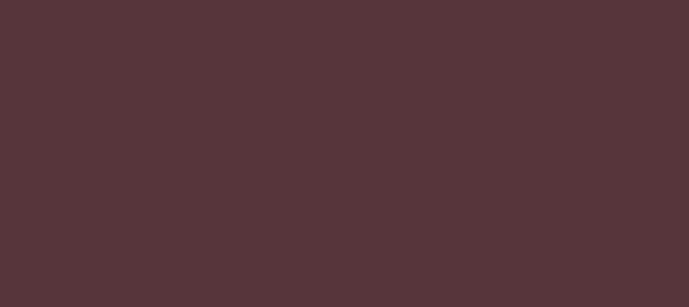 Color #57353B Wine Berry (background png icon) HTML CSS
