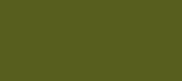 Color #575E1E Saratoga (background png icon) HTML CSS
