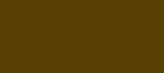 Color #584005 Raw Umber (background png icon) HTML CSS