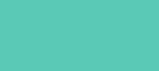 Color #5ACAB6 Medium Aquamarine (background png icon) HTML CSS