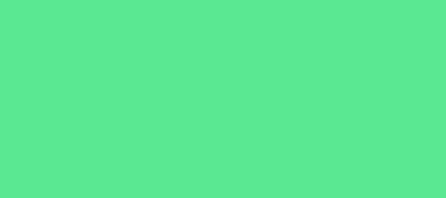Color #5AE893 Medium Aquamarine (background png icon) HTML CSS
