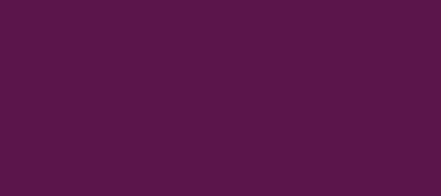 Color #5B154B Pompadour (background png icon) HTML CSS