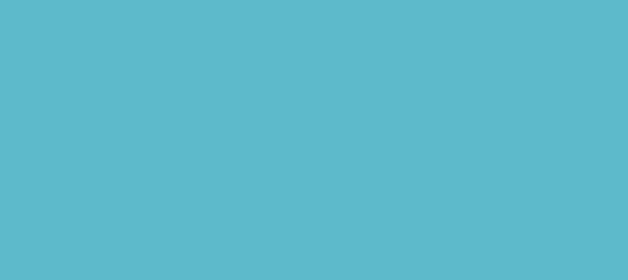 Color #5CBACB Viking (background png icon) HTML CSS