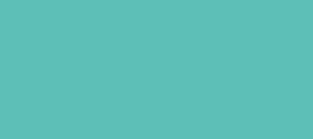 Color #5DBFB7 Fountain Blue (background png icon) HTML CSS