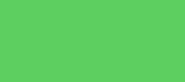 Color #5DCF61 Fern (background png icon) HTML CSS
