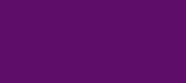 Color #5E0E69 Palatinate Purple (background png icon) HTML CSS