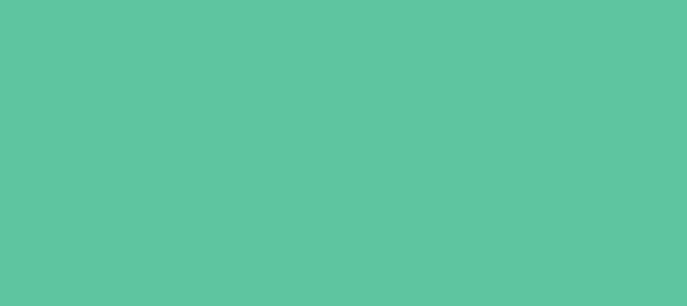 Color #5EC5A0 Medium Aquamarine (background png icon) HTML CSS
