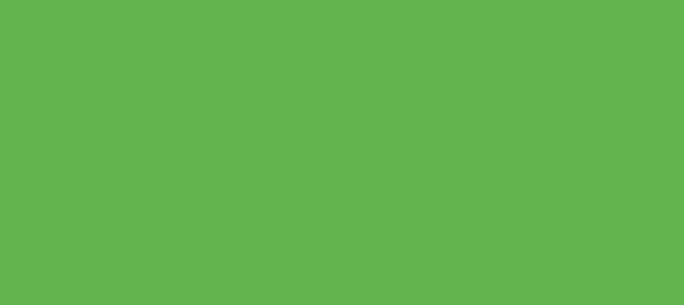 Color #63B34E Apple (background png icon) HTML CSS