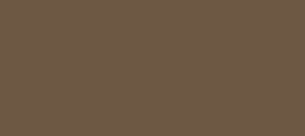HEX color #6D5843, Color name: Tobacco Brown, RGB(109,88,67), Windows .