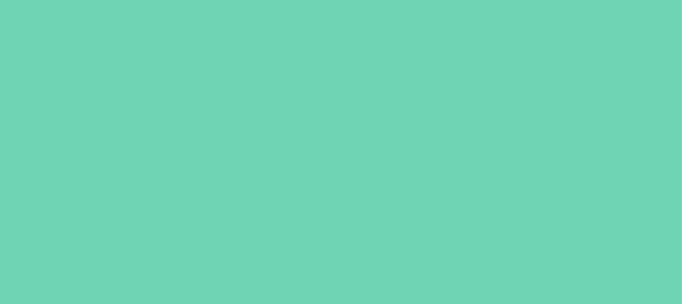 Color #6ED4B3 Medium Aquamarine (background png icon) HTML CSS