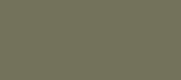 Color #73725B Kokoda (background png icon) HTML CSS
