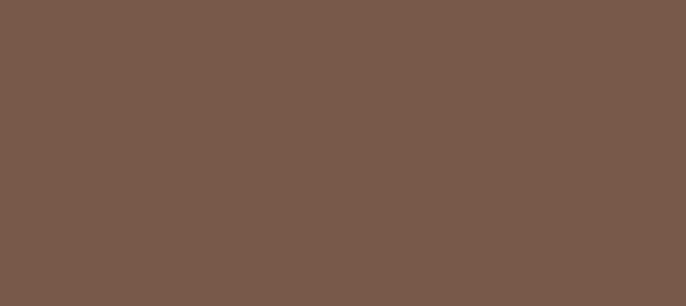 Color #78594A Quincy (background png icon) HTML CSS