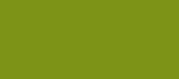 Color #7D9317 Citron (background png icon) HTML CSS