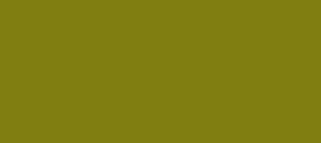 Color #7E7E0E Olive (background png icon) HTML CSS