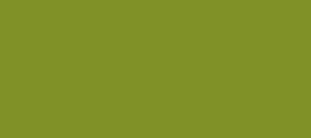 Color #809127 Trendy Green (background png icon) HTML CSS