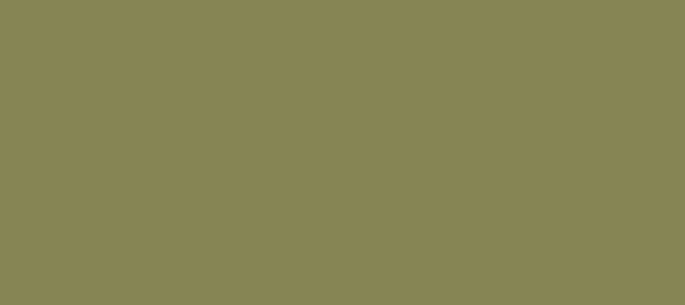 Color #868554 Kokoda (background png icon) HTML CSS