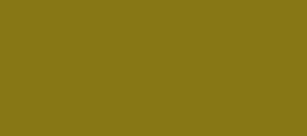 Color #887513 Yukon Gold (background png icon) HTML CSS