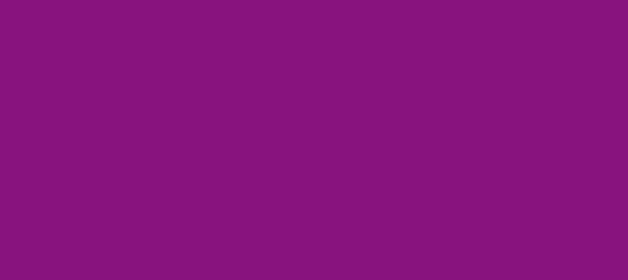 Color #89147E Dark Purple (background png icon) HTML CSS