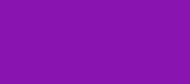 Color #8914AF Dark Violet (background png icon) HTML CSS