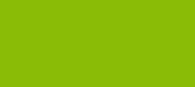 Color #8ABC06 Citrus (background png icon) HTML CSS