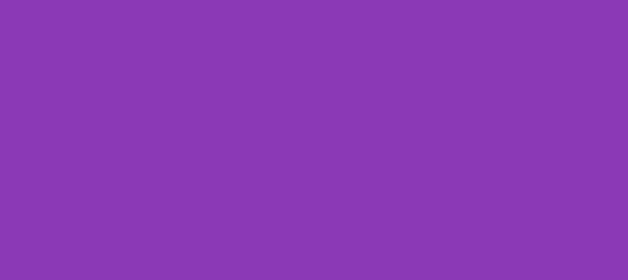 Color #8B39B6 Dark Orchid (background png icon) HTML CSS