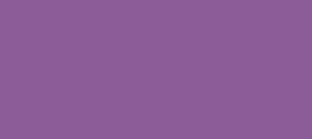 Color #8C5C98 Violet Blue (background png icon) HTML CSS