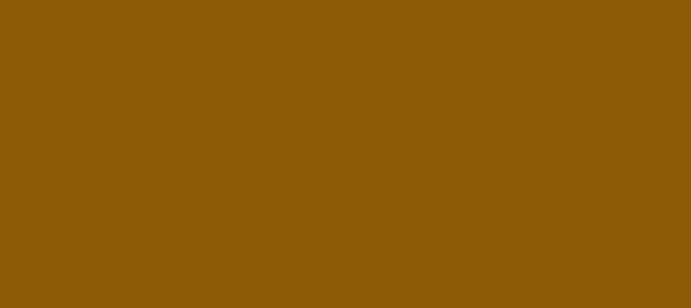 Color #8D5A07 Golden Brown (background png icon) HTML CSS
