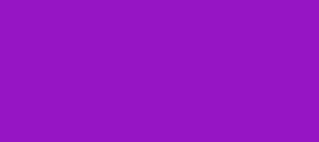 Color #9615C4 Dark Violet (background png icon) HTML CSS