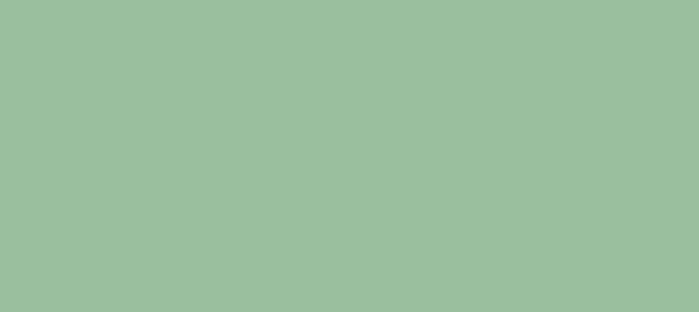 Color #9ABF9E Dark Sea Green (background png icon) HTML CSS