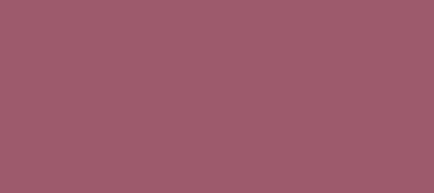 Color #9B5B6C Mauve Taupe (background png icon) HTML CSS