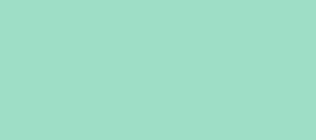 Color #9EDEC6 Magic Mint (background png icon) HTML CSS