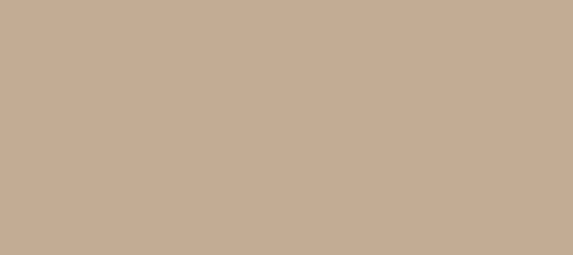 Color #C2AC94 Sour Dough (background png icon) HTML CSS