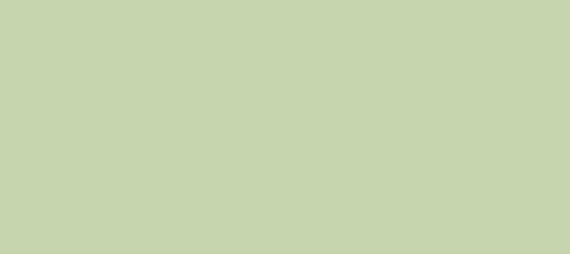 Color #C7D5AF Pale Leaf (background png icon) HTML CSS