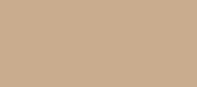 Color #C8AC8D Tan (background png icon) HTML CSS