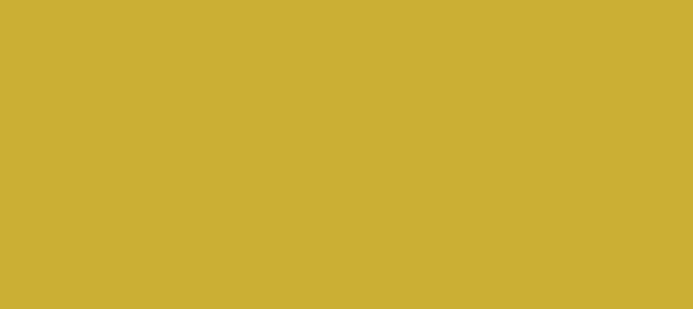 Color #C8AF34 Old Gold (background png icon) HTML CSS