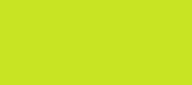 Color #C8E423 Pear (background png icon) HTML CSS