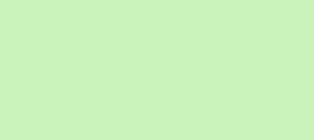 Color #C9F3BA Tea Green (background png icon) HTML CSS