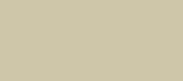 Color #CEC6A9 Parchment (background png icon) HTML CSS