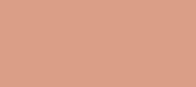 Color #DA9E87 Tonys Pink (background png icon) HTML CSS