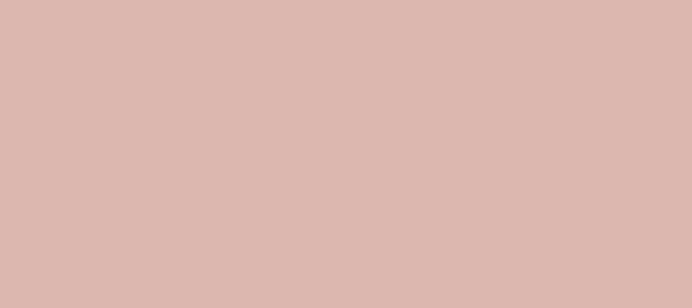 Color #DBB7AF Cavern Pink (background png icon) HTML CSS