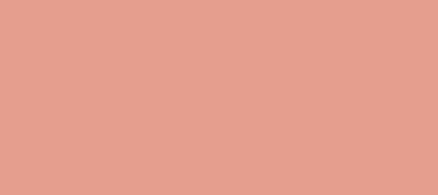 Color #E59E8E Tonys Pink (background png icon) HTML CSS